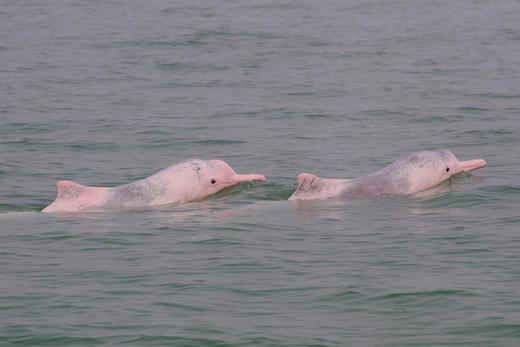 【五一华为专团】广西南宁+崇左+钦州探秘5天4晚 商品图5