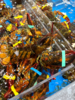 xm{新鲜刚到货！只只爆肉 纯福利！！！}深海大波龙虾🦞肉厚拒绝空壳，清蒸、芝士焗、蒜蓉都绝配， 家庭聚餐、朋友小聚，气场直接拉满，顺丰活冻冷链安排寄走~ 商品缩略图2