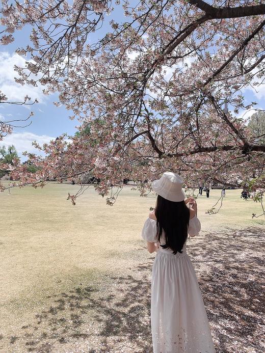 金蘑菇菇 小步圆舞曲 / 招牌100棉刺绣 上衣&套装 商品图12