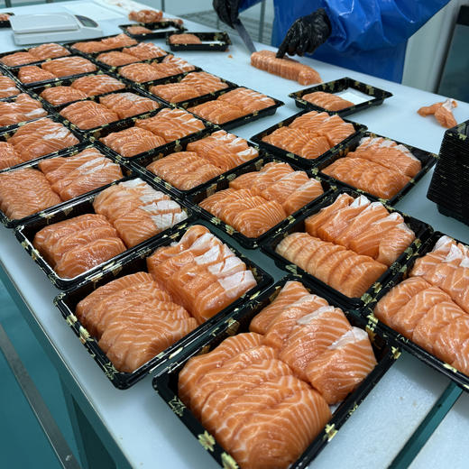 【预售4.11发货】新西兰帝王鲑/凤尾甜虾丨偶尔奢侈一次吧❗️三文鱼的天花板--帝王鲑，北极贝（缺货）脆嫩有嚼劲，凤尾甜虾鲜嫩软糯。⭐️顺丰冷链 商品图9