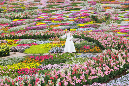 【门票+汉服妆造】2026年单人套票239 | 需提前预约 商品图1