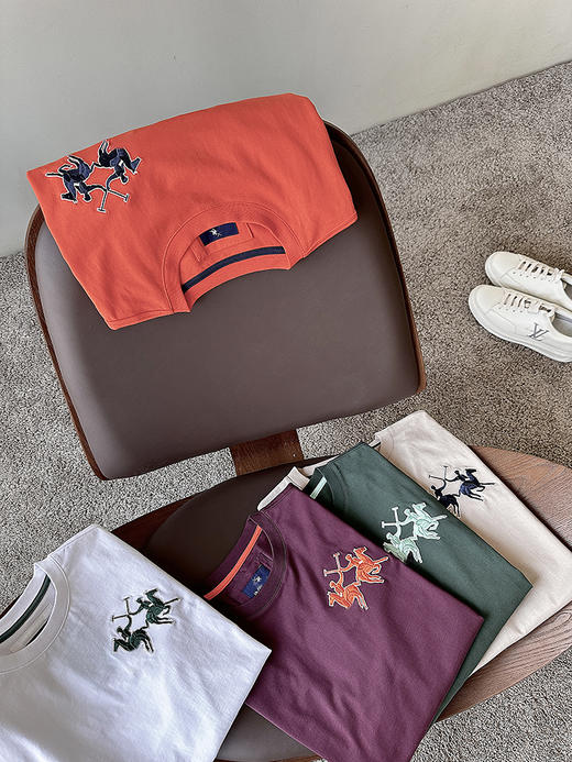 THS-无 LAma家 售完无补源尾少量出 男女款T恤  11款 QH468 商品图3