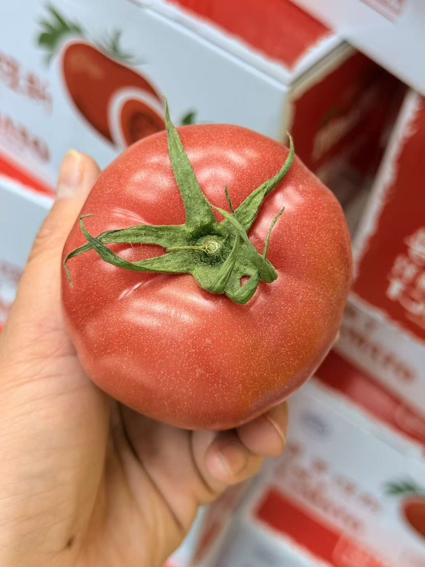 普罗旺斯西红柿