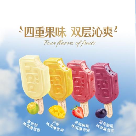 MM 山姆 哈根达斯 夏颂冰淇淋雪泥 12支900g 商品图2
