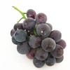 [最农公社]京东到家|辽宁巨峰葡萄【非串装】新鲜葡萄整件包邮当季水果葡萄 商品缩略图4