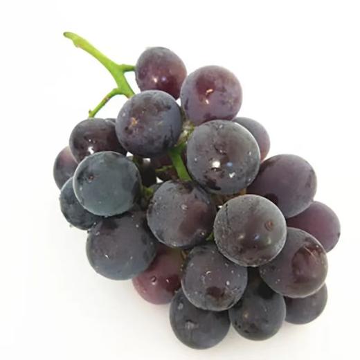 [最农公社]京东到家|辽宁巨峰葡萄【非串装】新鲜葡萄整件包邮当季水果葡萄 商品图4