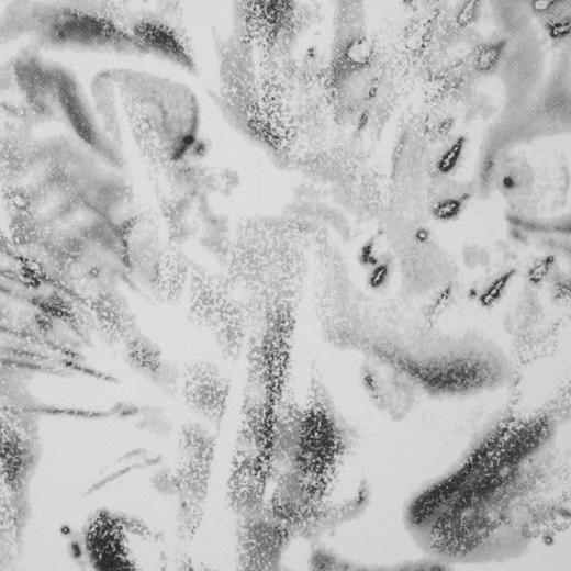 68508SDSA男装2026新款高贵轻奢潮牌豹水墨印花短袖T恤百搭时尚上衣 商品图3