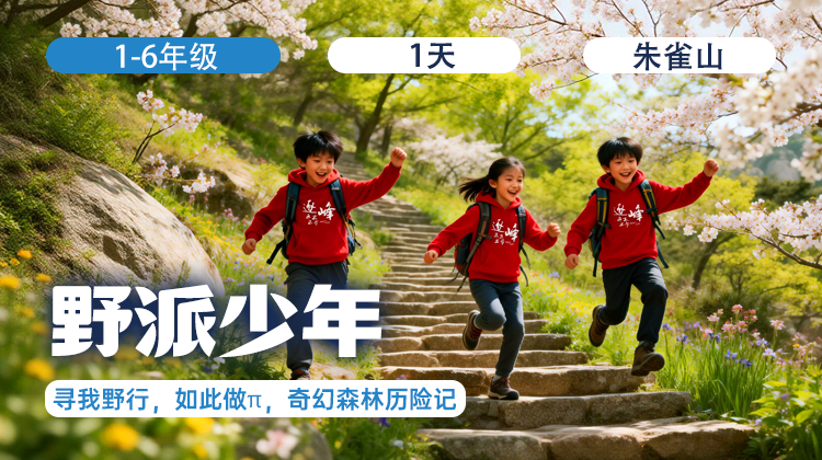 清明单日营 |「野派少年」