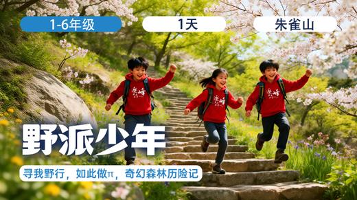 清明单日营 |「野派少年」 商品图0