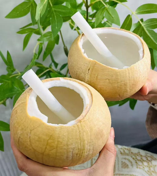 泰国老树椰皇 商品图5