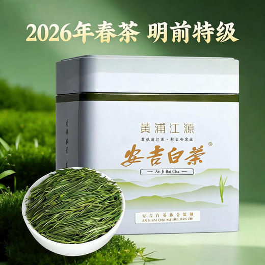 【新茶预售】茶叶 安吉白茶 2026新茶 春茶 绿茶 茶叶罐装 茶饮 五虎 125g(买1送1同款，配手提袋) 商品图1