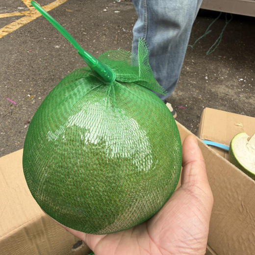 越南翡翠 金柚 水分足 果肉细嫩 甜度好 回头率高 19.9/个约2斤上下 商品图1