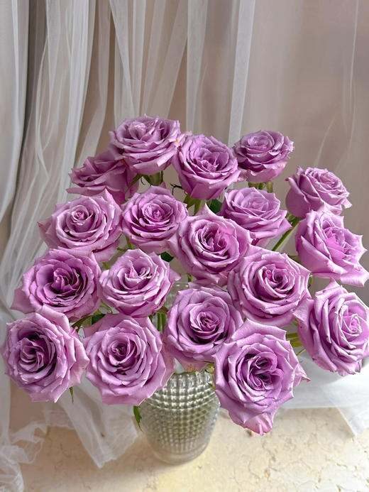 周末鲜花日~🌹【玫瑰花】云南鲜花基地直发，15种玫瑰可选~72小时内发货，一份10支，花枝长40-50CM 商品图2