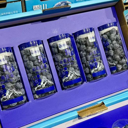 【纯甜】云南特级高山18+蓝莓桶装五合一顺丰包邮 商品图1