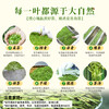 绿茶中的“白、富、美”：正宗白帝安吉白茶 商品缩略图4