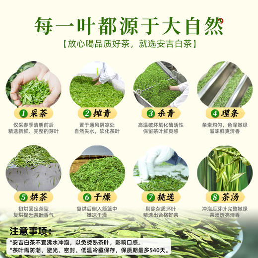 绿茶中的“白、富、美”：正宗白帝安吉白茶 商品图4