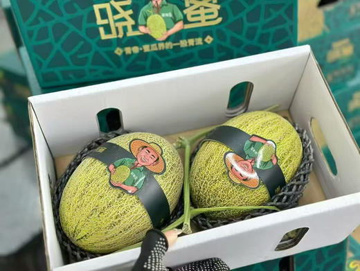 青帝脆甜蜜瓜 一箱2个 商品图11