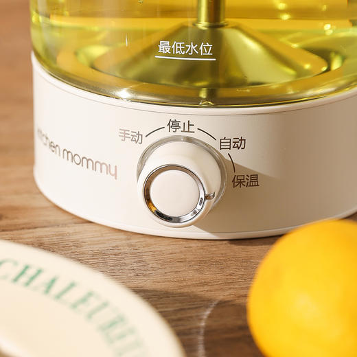 【自营】厨创妈咪Kitchen mommy　B22电水壶(煮茶器) 商品图4