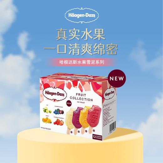 MM 山姆 哈根达斯 夏颂冰淇淋雪泥 12支900g 商品图1