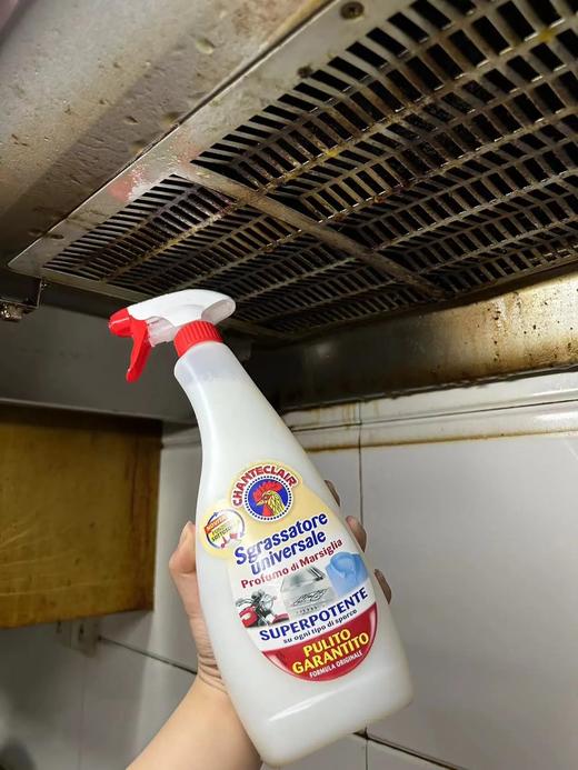 大公鸡管家多功能油污净厨房重油污清洁剂 意大利百年清洁品牌 超温和配方 去污不伤手 油污轻松去除基地直邮 商品图4