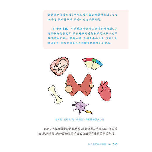 健康中国“我”行动癌症防治科普丛书：甲状腺癌 葛明华 高明 全书围绕“防、筛、诊、治、康”五个关键环节展开 人民卫生出版社 商品图4