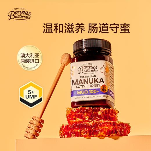澳大利亚巴恩天然 活性麦努卡蜂蜜 MGO100+ 250g/500g/礼盒装 商品图0
