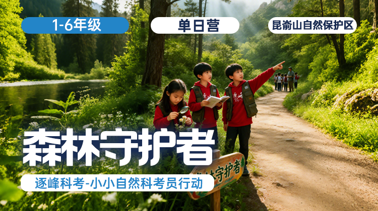 清明单日营 |「森林守护者」