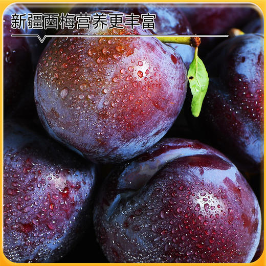 神探伍伍西梅膳食纤维饮0脂高膳食纤维独立包装果蔬汁大餐救星 商品图5