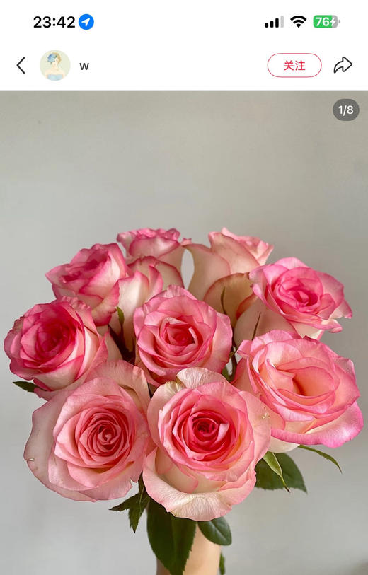 周末鲜花日~🌹【玫瑰花】云南鲜花基地直发，15种玫瑰可选~72小时内发货，一份10支，花枝长40-50CM 商品图8