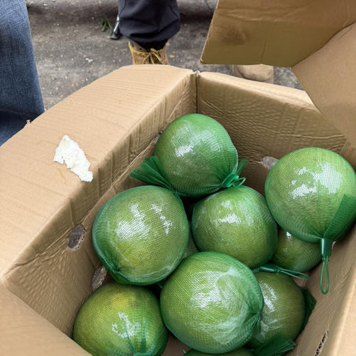 越南翡翠 金柚 水分足 果肉细嫩 甜度好 回头率高 19.9/个约2斤上下 商品图3