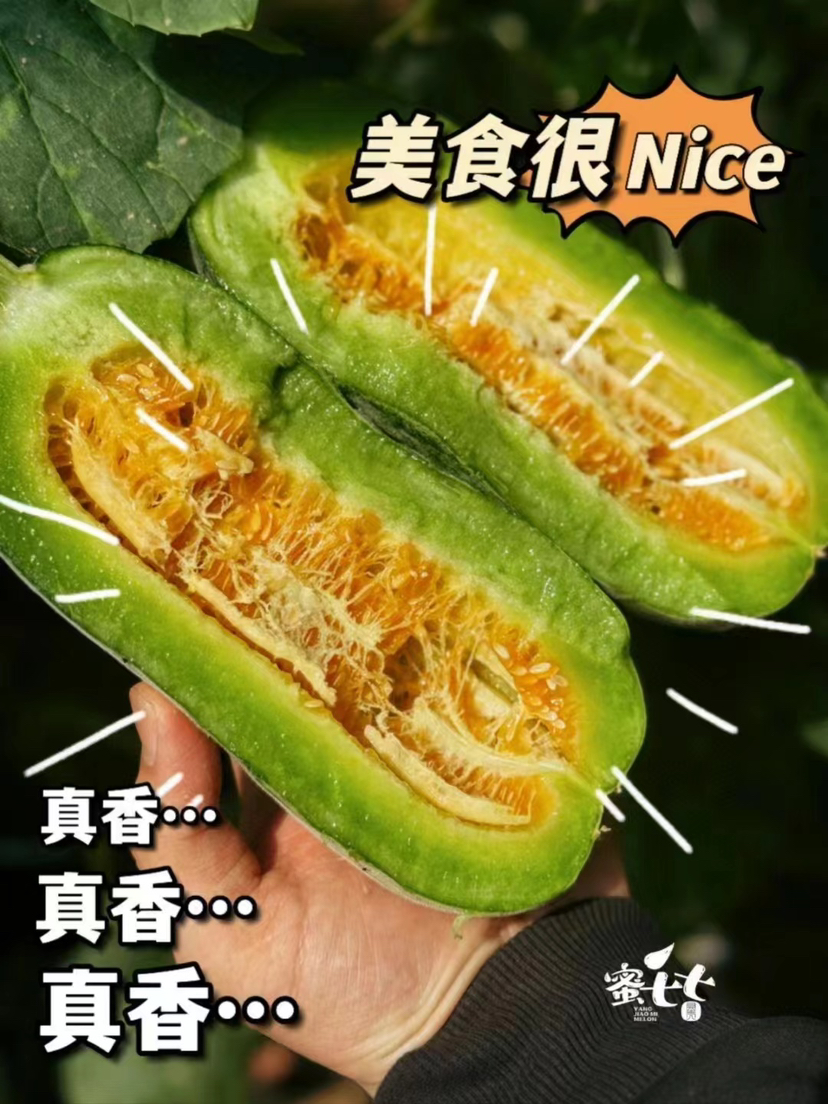 博洋瓜系列的天花板，劲脆香甜的蜜七七脆甜蜜瓜