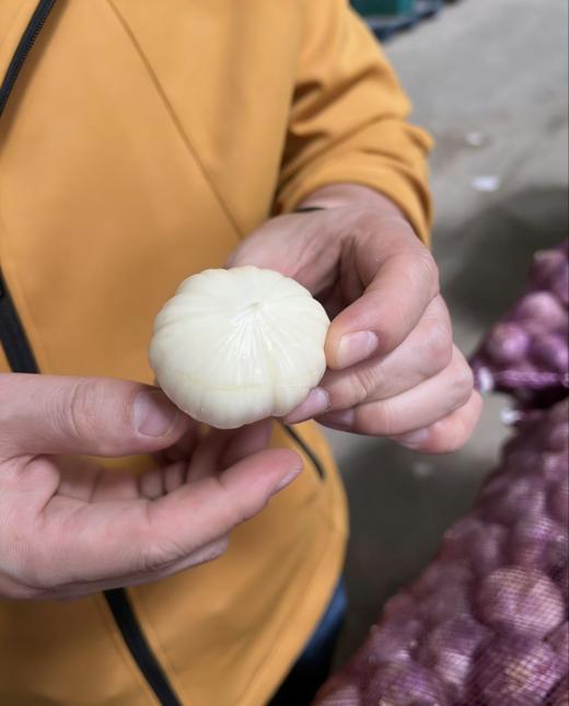 【中国地理标志产品】【大理紫皮独头蒜】 蒜味十足 20年前的味道 果径3.8cm 商品图0