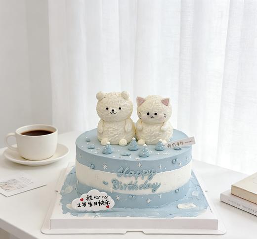 小白熊小猫咪喵星人小动物(可改)卡通蛋糕-低糖处理无添加 商品图0