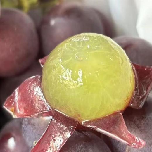 [最农公社]京东到家|辽宁巨峰葡萄【非串装】新鲜葡萄整件包邮当季水果葡萄 商品图3