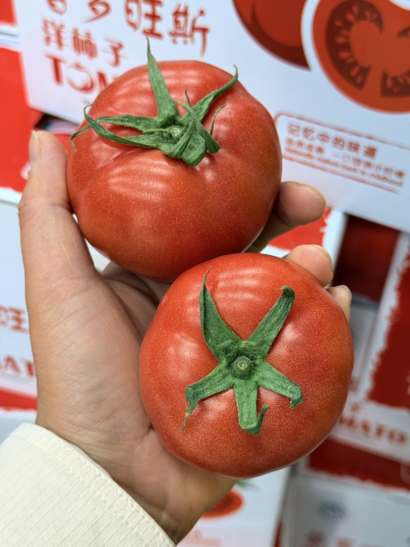 普罗旺斯西红柿