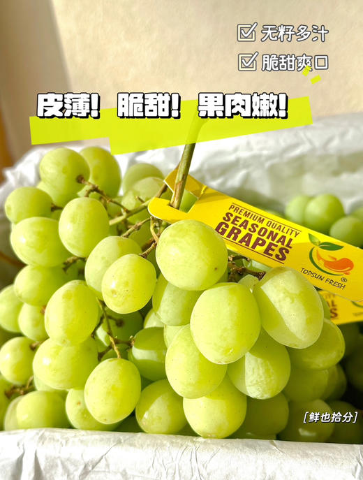 澳洲甜地球青提，无籽无渣，冰镇过后更是绝了，清甜中带着丝丝凉意，果皮薄到几乎无存在感，咬下去“啵”一声爆汁～冰糖甜直戳味蕾，还有淡淡玫瑰香，脆度拉满爱吃无籽青提的狂喜～2斤/份 商品图1