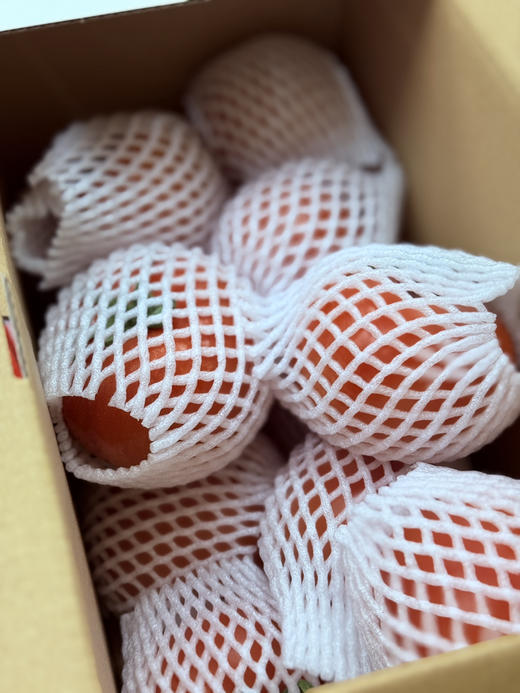 普罗旺斯西红柿 商品图7