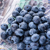 L25山东花香蓝莓 当季水果现摘现发果香浓郁脆甜爆浆孕妇宝宝水果 商品缩略图2
