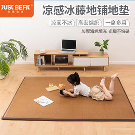 【品牌直发】加倍生活 新款凉感冰藤地铺地垫 一垫多用 8个尺码可选 客厅地垫 卧室凉席
