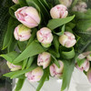 配花-重瓣郁金香粉色-10支 商品缩略图0