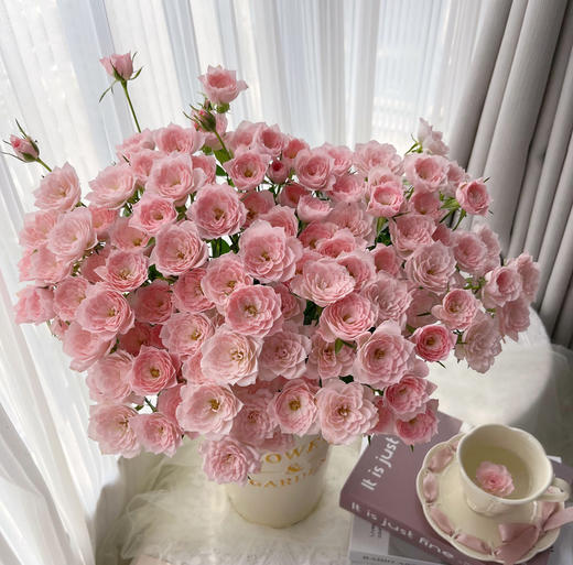 周末鲜花日~🌹【玫瑰花】云南鲜花基地直发，15种玫瑰可选~72小时内发货，一份10支，花枝长40-50CM 商品图14