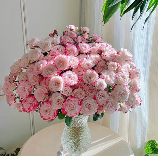 周末鲜花日~🌹【玫瑰花】云南鲜花基地直发，15种玫瑰可选~72小时内发货，一份10支，花枝长40-50CM 商品图13