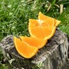帝王春橙  5.5斤 商品缩略图7