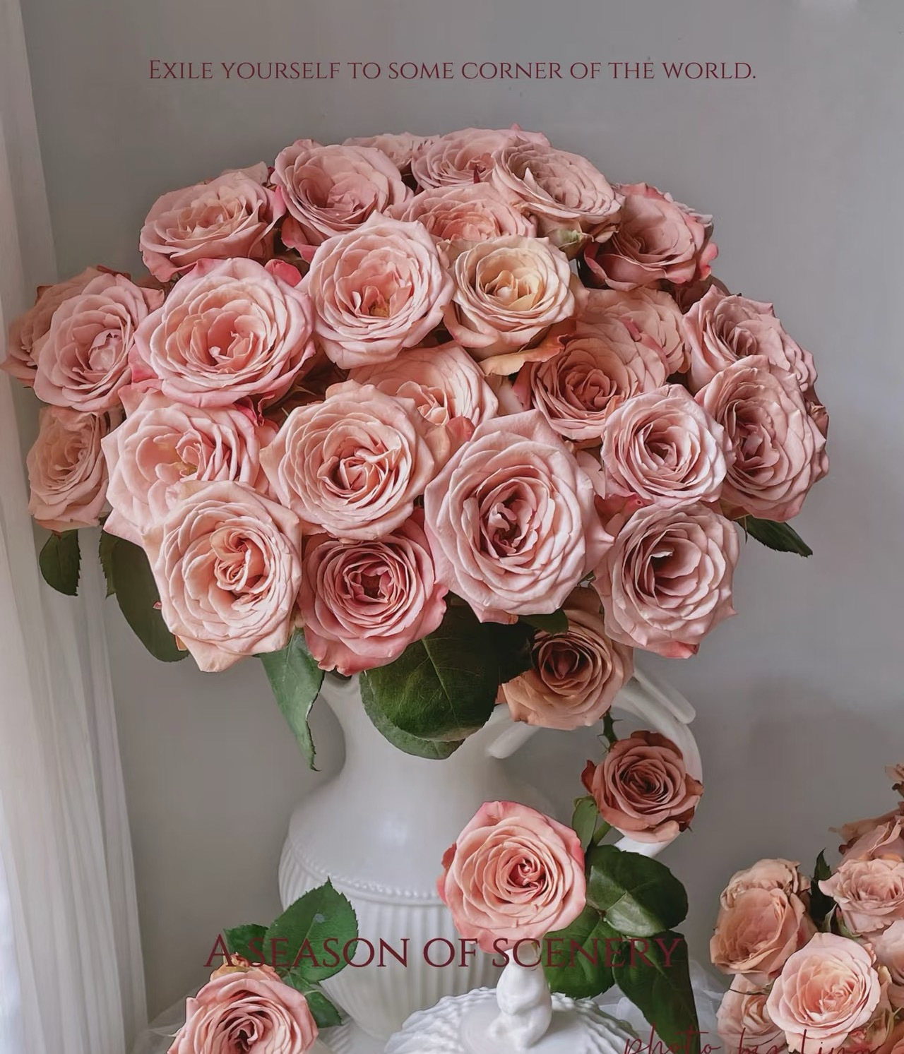 周末鲜花日~🌹【玫瑰花】云南鲜花基地直发，15种玫瑰可选~72小时内发货，一份10支，花枝长40-50CM