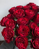 周末鲜花日~🌹【玫瑰花】云南鲜花基地直发，15种玫瑰可选~72小时内发货，一份10支，花枝长40-50CM 商品缩略图4