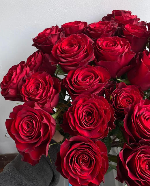 周末鲜花日~🌹【玫瑰花】云南鲜花基地直发，15种玫瑰可选~72小时内发货，一份10支，花枝长40-50CM 商品图4