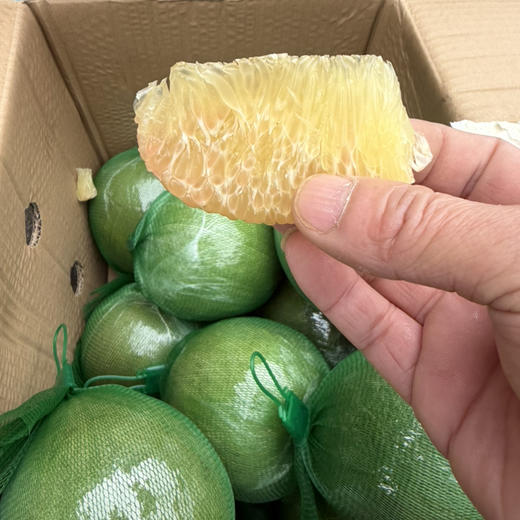 越南翡翠 金柚 水分足 果肉细嫩 甜度好 回头率高 19.9/个约2斤上下 商品图4