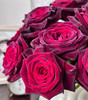 周末鲜花日~🌹【玫瑰花】云南鲜花基地直发，15种玫瑰可选~72小时内发货，一份10支，花枝长40-50CM 商品缩略图7