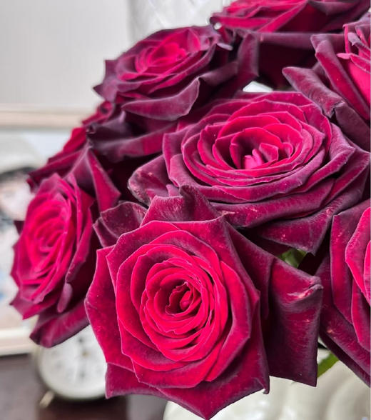 周末鲜花日~🌹【玫瑰花】云南鲜花基地直发，15种玫瑰可选~72小时内发货，一份10支，花枝长40-50CM 商品图7