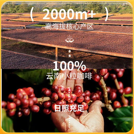 神探伍伍咖啡官方正品速溶美式黑咖啡燃0脂肪代谢咖啡粉黑咖啡 商品图1